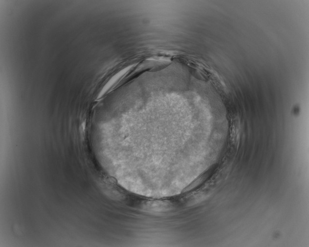 X0000116350716201001131106