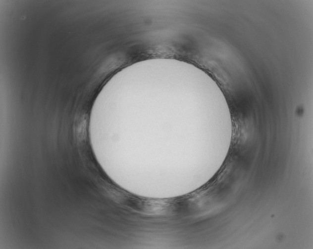 X0000116350717201001131106