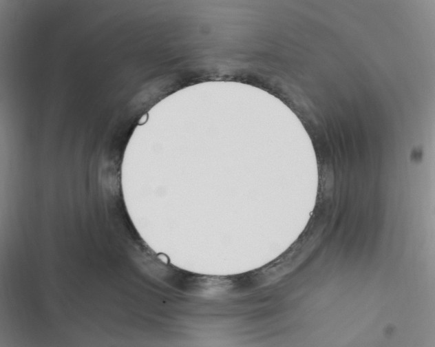 X0000116350719201001131106