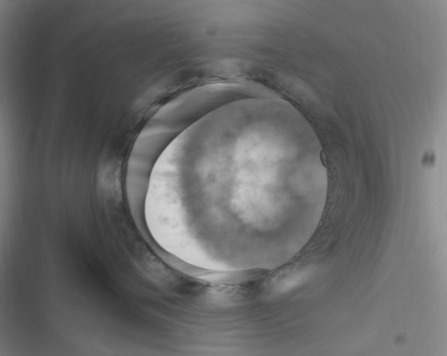 X0000116350720201001131106