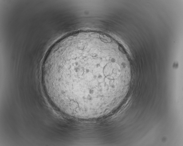 X0000116350721201001131105