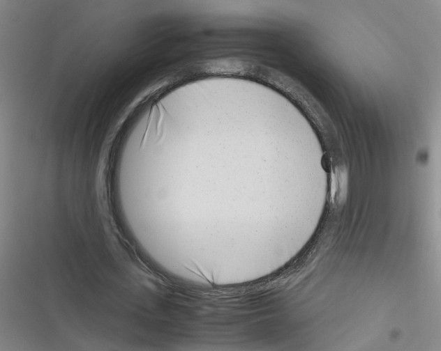 X0000116350723201001131105