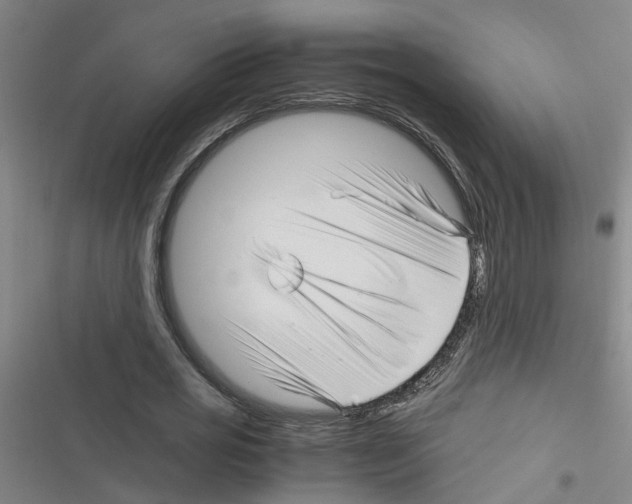 X0000116350725201001131105
