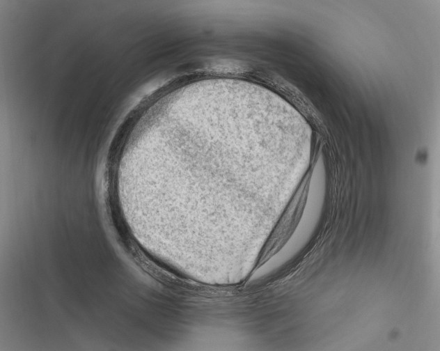 X0000116350726201001131105