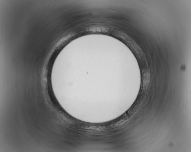 X0000116350727201001131105