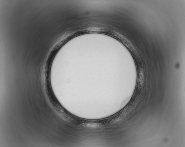 X0000116350730201001131105