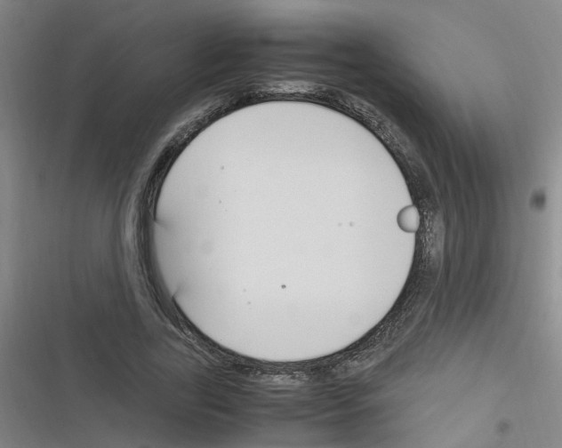 X0000116350731201001131105