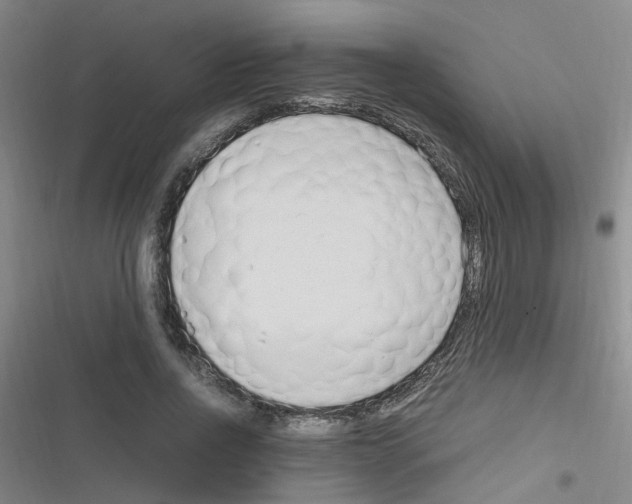 X0000116350734201001131106