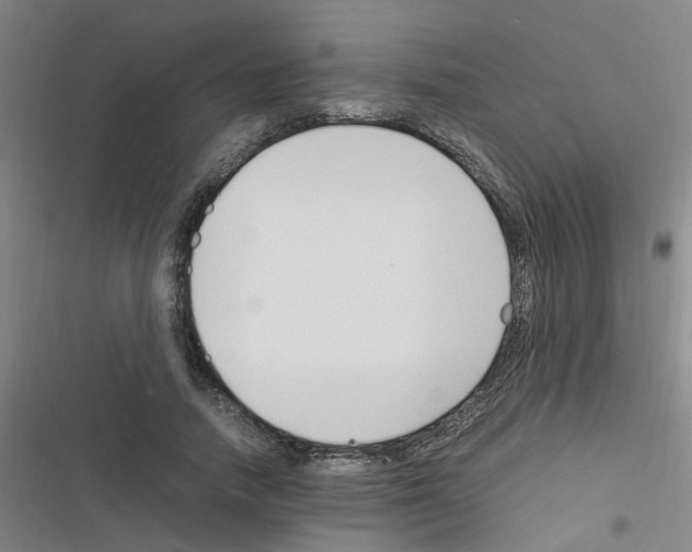 X0000116350738201001131106