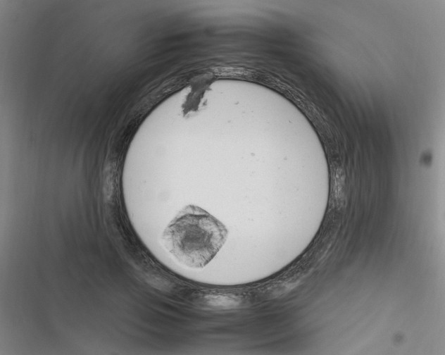 X0000116350741201001131106