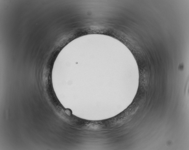 X0000116350742201001131106