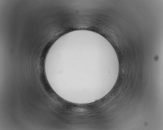 X0000116350743201001131106
