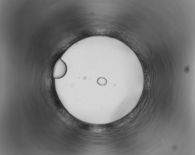 X0000116350746201001131106