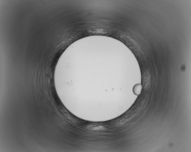 X0000116350747201001131106