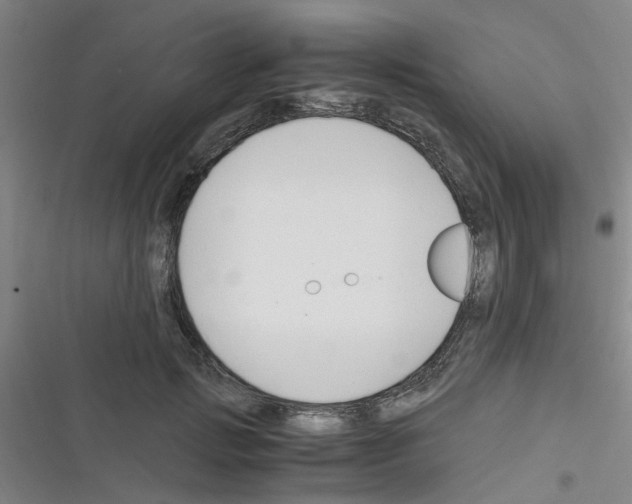 X0000116350749201001131106