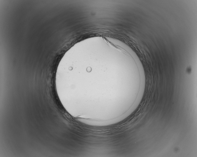 X0000116350750201001131106