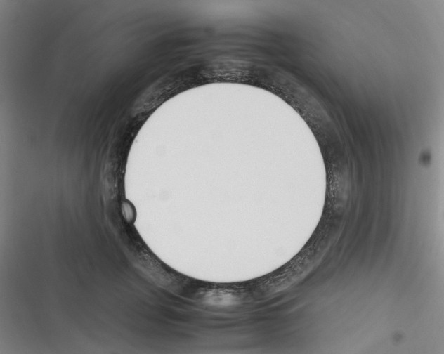 X0000116350751201001131106