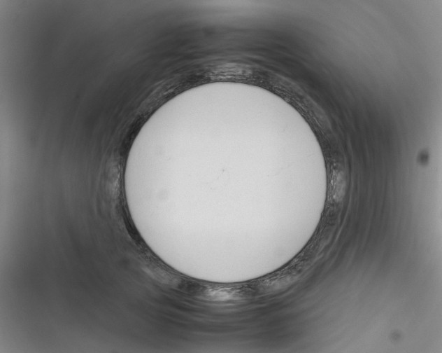 X0000116350753201001131106