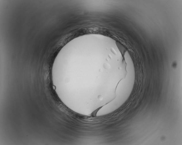 X0000116350754201001131106