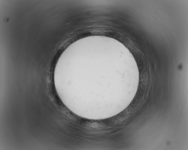 X0000116350755201001131106