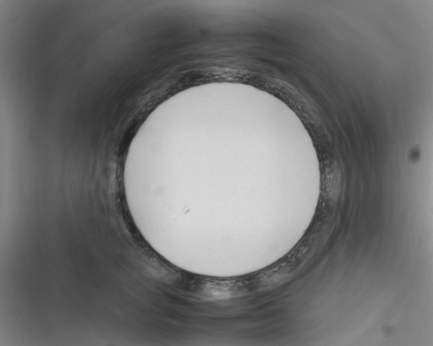 X0000116350757201001131106
