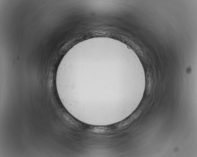 X0000116350758201001131106