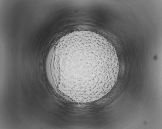 X0000116350759201001131106