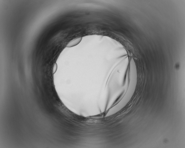 X0000116350762201001131106