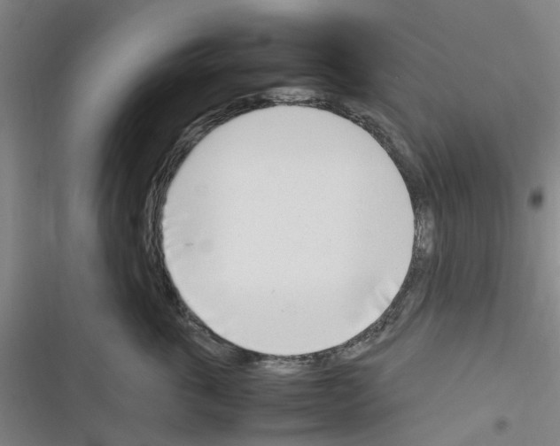 X0000116350763201001131106