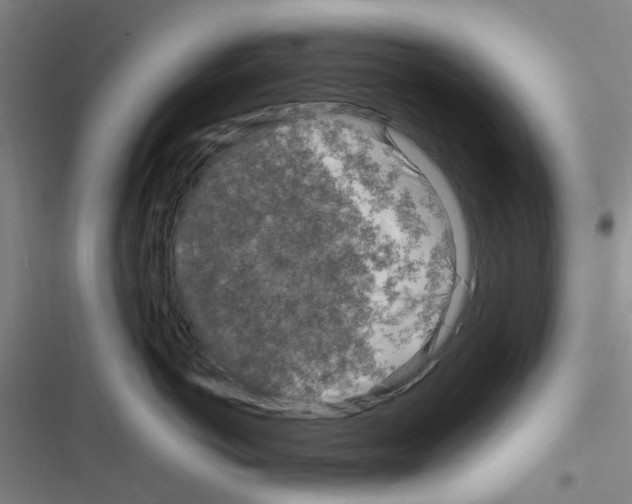 X0000116350766201001131106