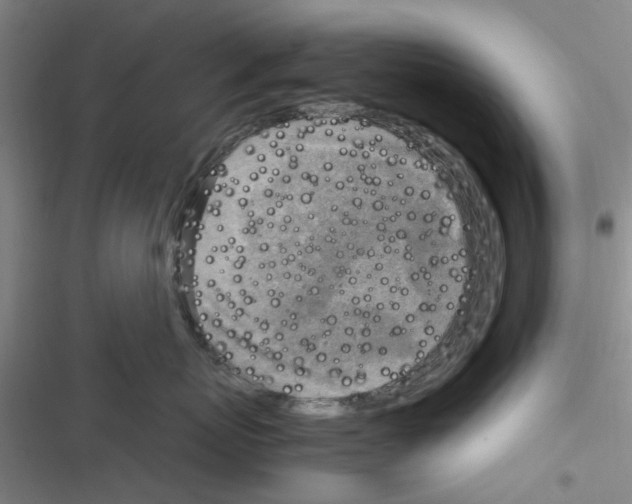 X0000116350767201001131106