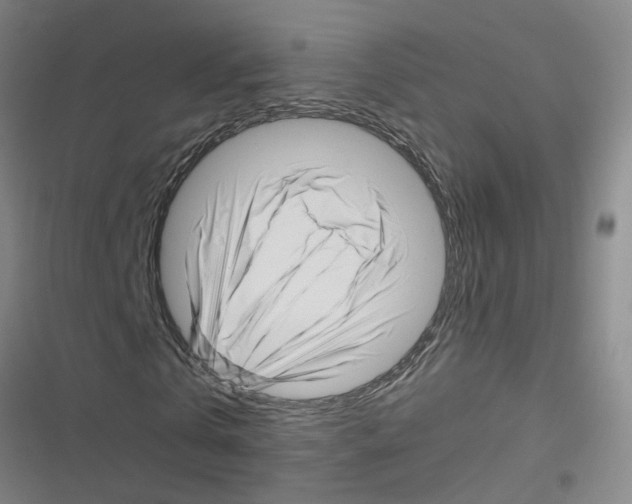 X0000116350769201001131105