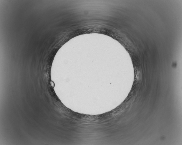 X0000116350771201001131105