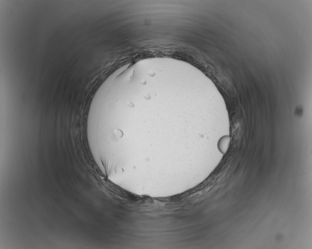 X0000116350772201001131105