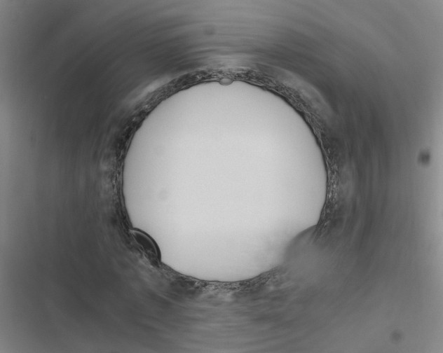X0000116350773201001131105