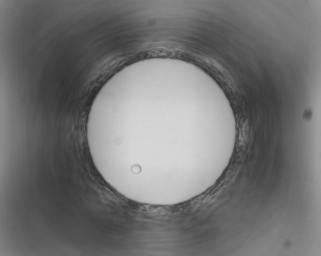 X0000116350774201001131105