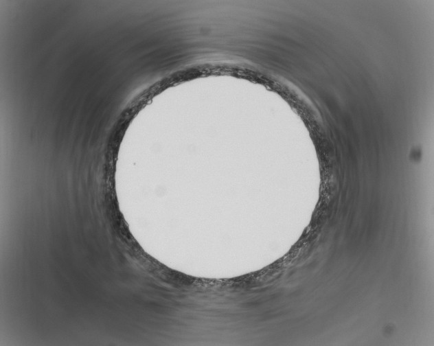 X0000116350775201001131105