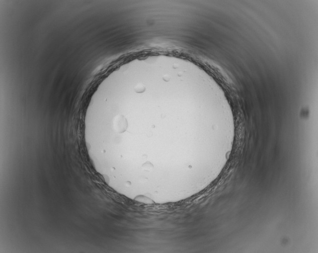 X0000116350776201001131105