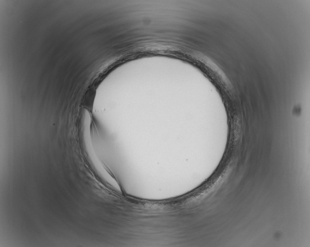 X0000116350777201001131105