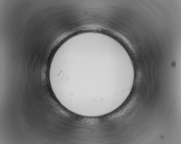 X0000116350778201001131105