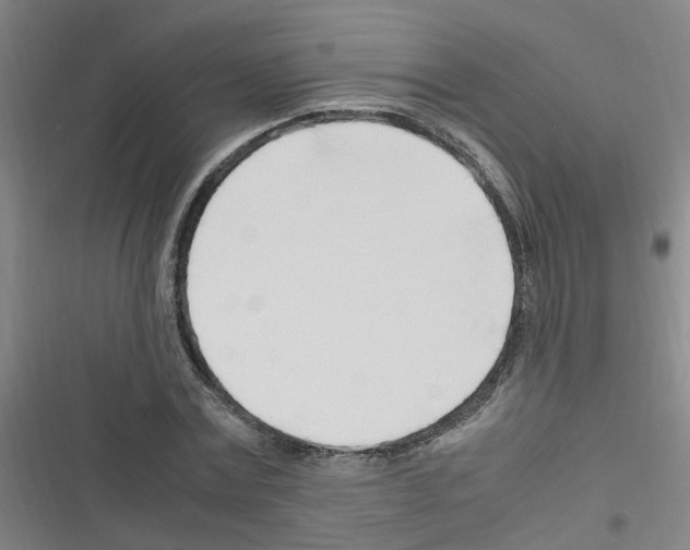 X0000116350779201001131105
