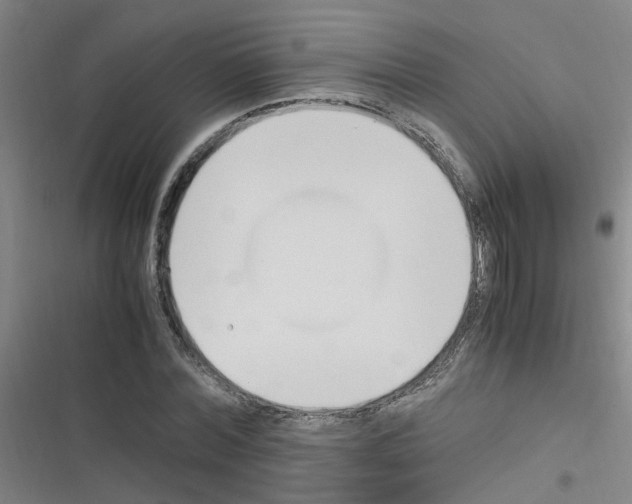 X0000116350780201001131105