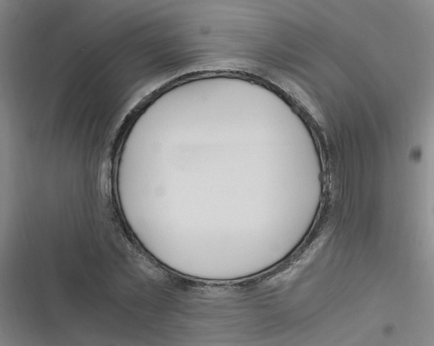 X0000116350781201001131105