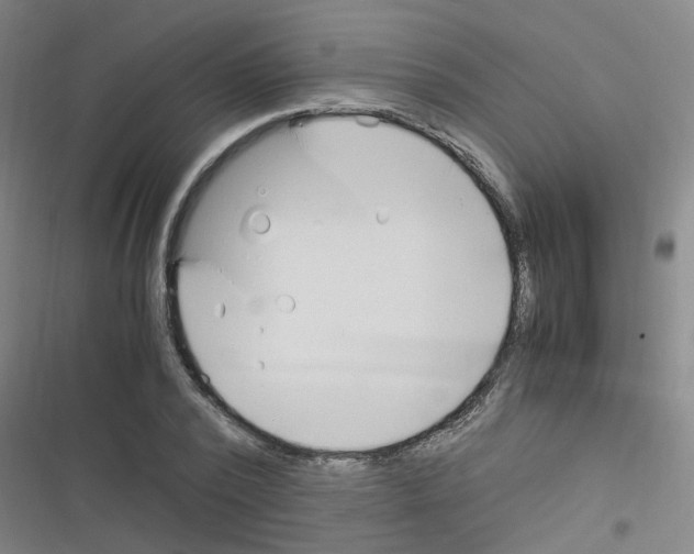 X0000116350784201001131105