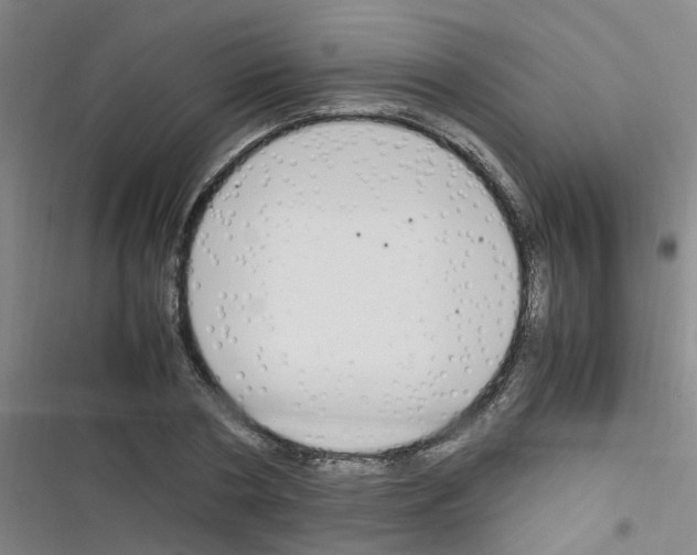 X0000116350786201001131105