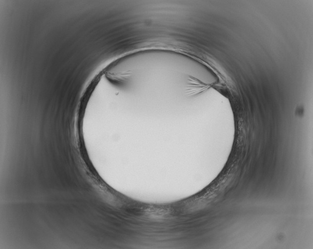 X0000116350788201001131105