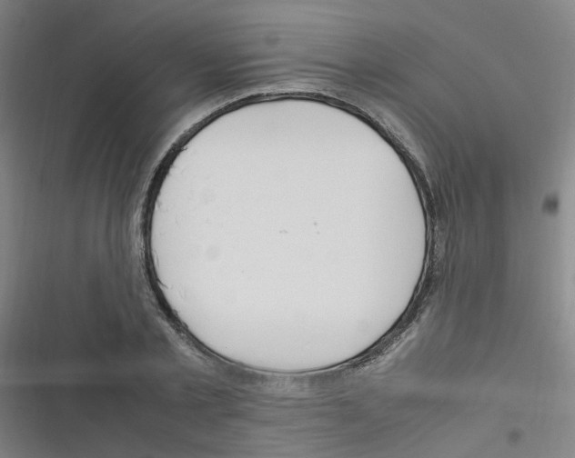 X0000116350789201001131105