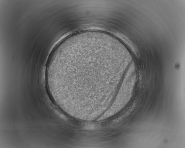 X0000116350790201001131105