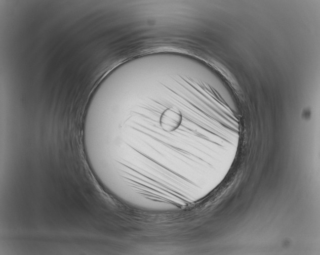 X0000116350793201001131105