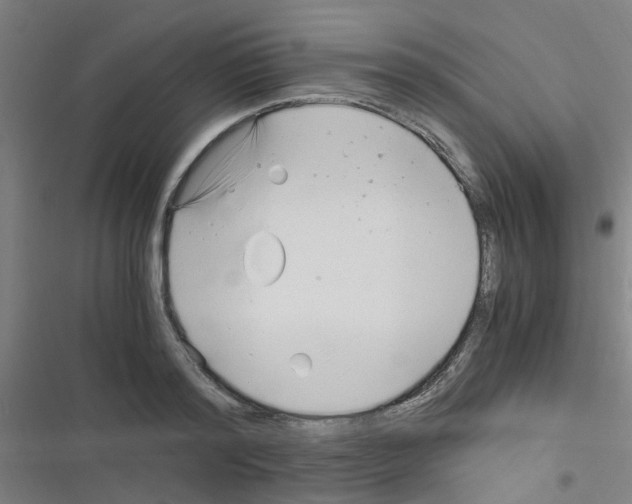 X0000116350796201001131105